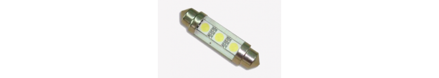 Matricula LED Ampoules